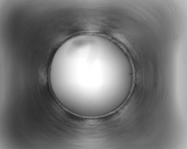 X0000088841451200706211824