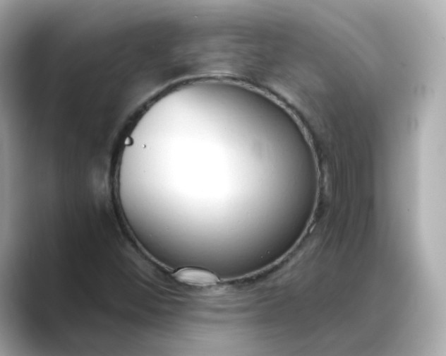 X0000088841452200706211824