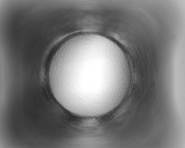 X0000088841454200706211824