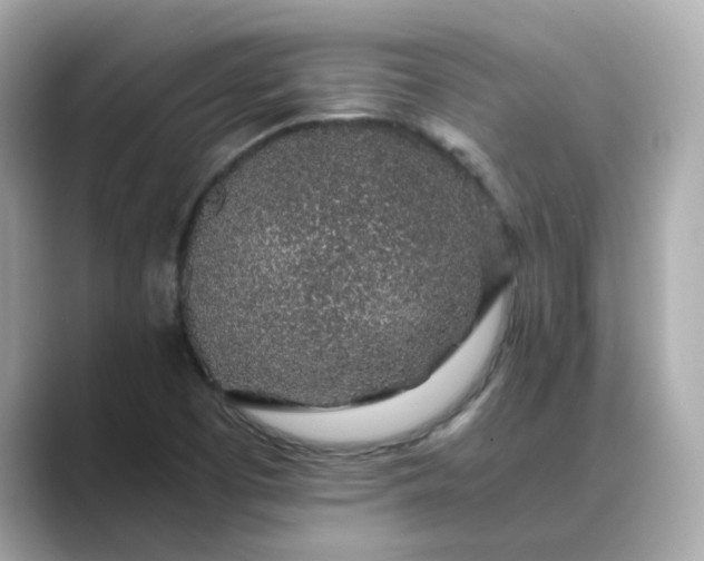 X0000088841457200706211824