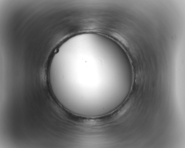 X0000088841458200706211824