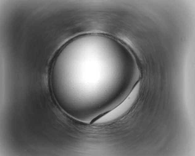 X0000088841460200706211824