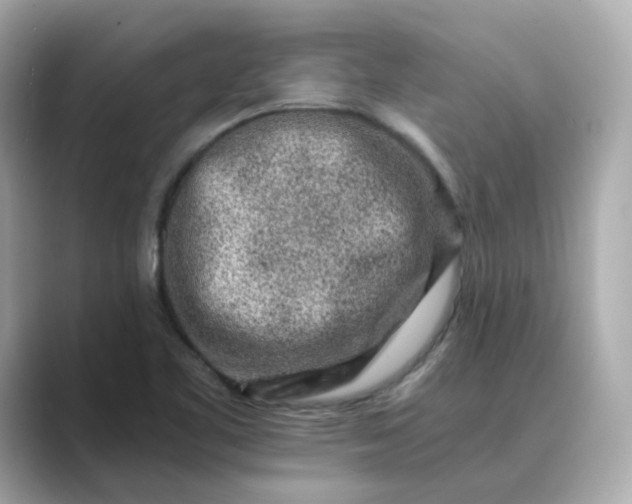 X0000088841461200706211824