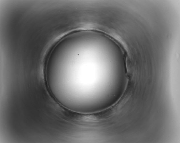 X0000088841464200706211824