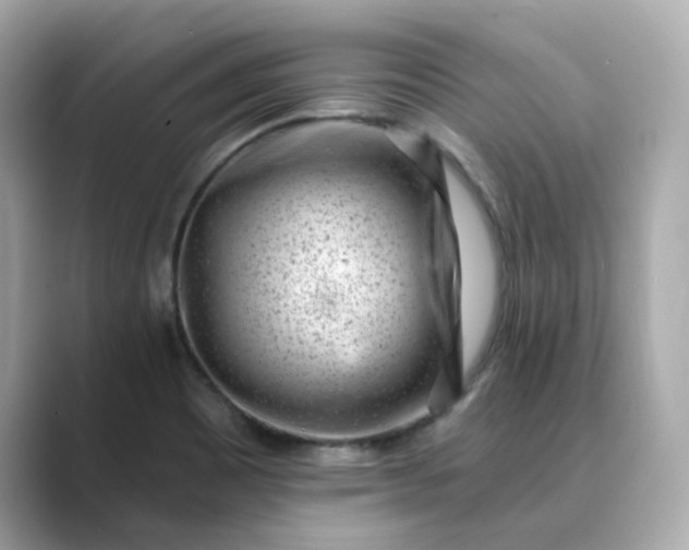 X0000088841465200706211824