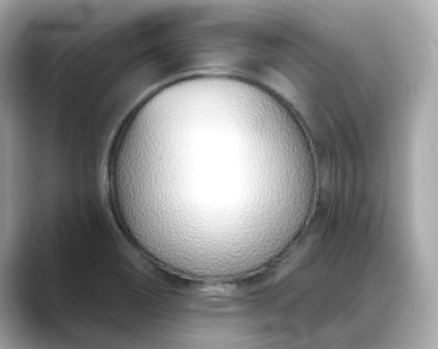 X0000088841466200706211824