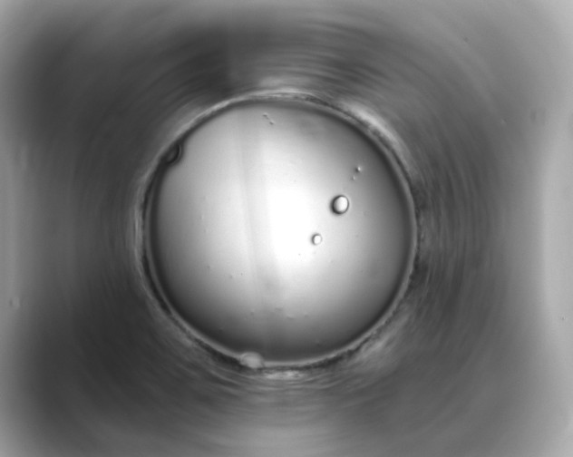 X0000088841467200706211824