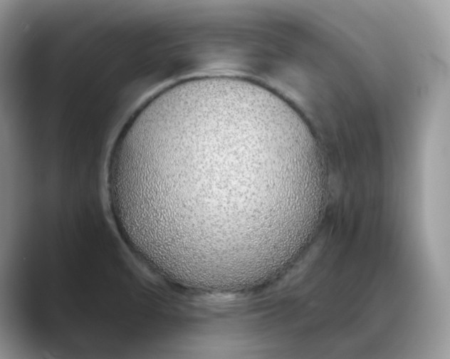 X0000088841470200706211824