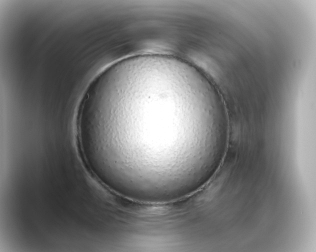 X0000088841471200706211824