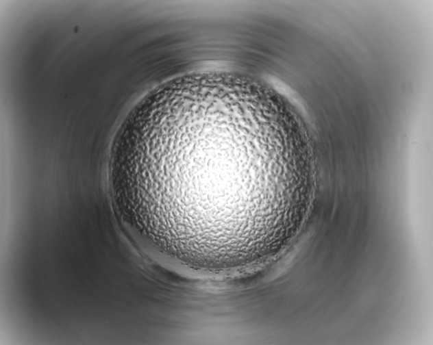 X0000088841473200706211824