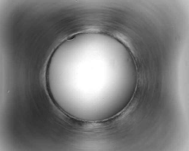 X0000088841475200706211824