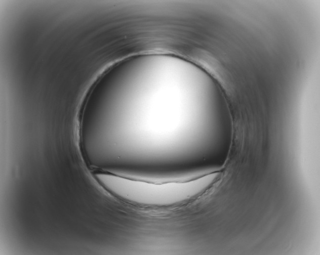 X0000088841476200706211824