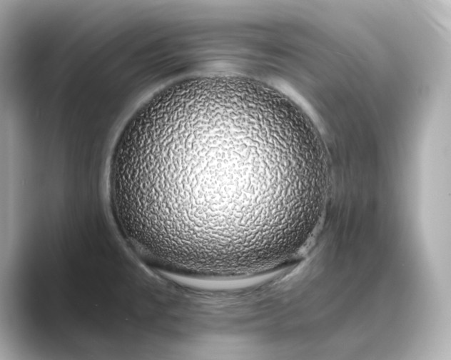 X0000088841477200706211824