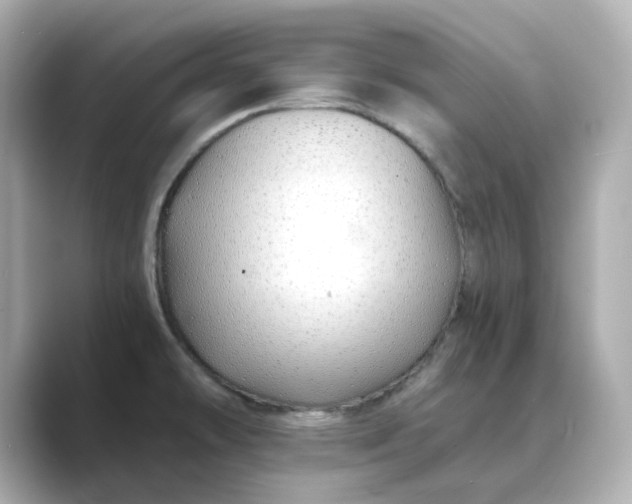 X0000088841478200706211824