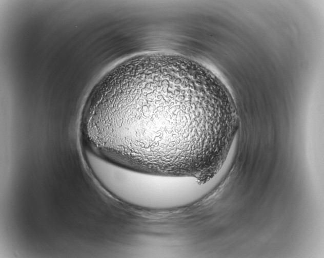 X0000088841485200706211824