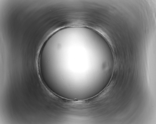 X0000088841486200706211824