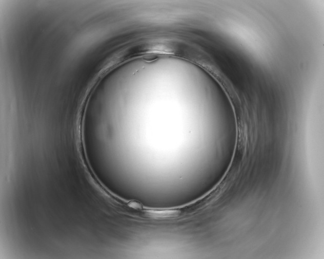 X0000088841487200706211824