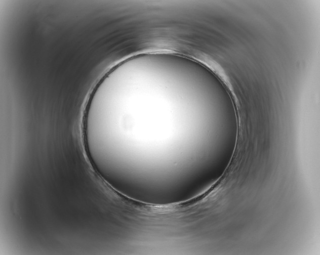 X0000088841488200706211824