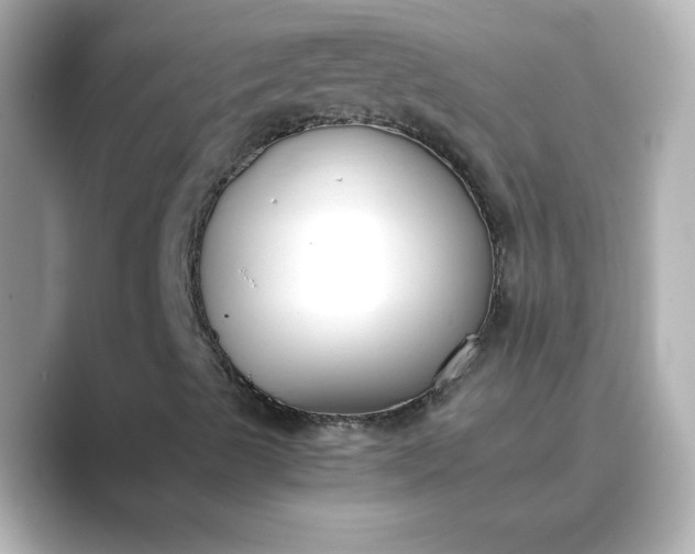 X0000088841489200706211823