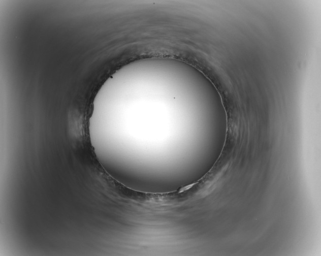 X0000088841490200706211823