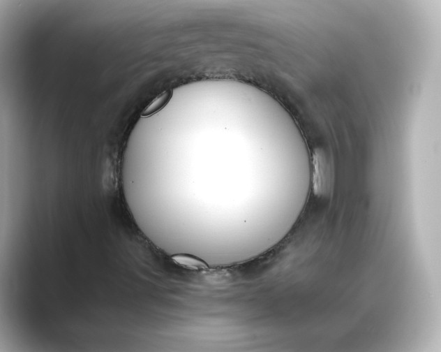 X0000088841491200706211823