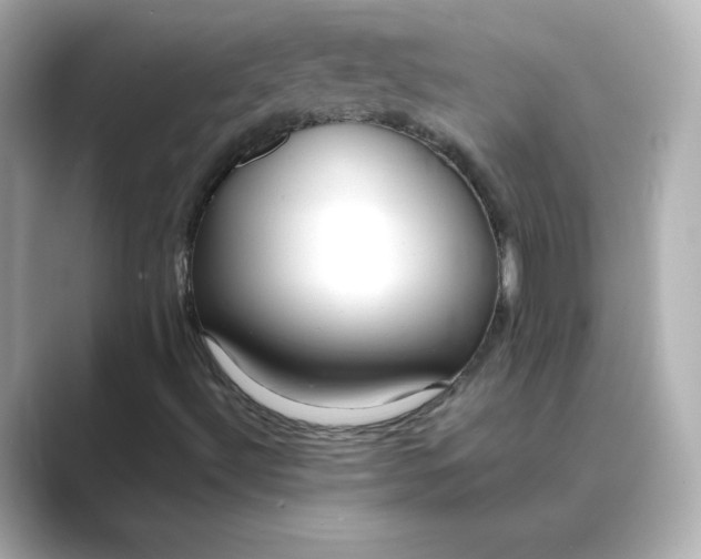 X0000088841492200706211823