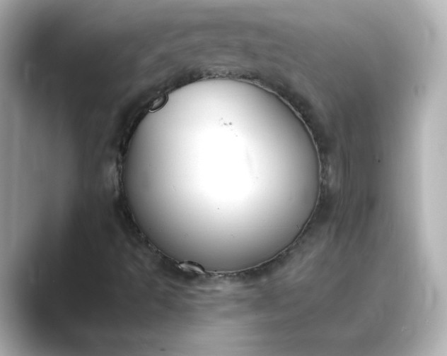 X0000088841493200706211823