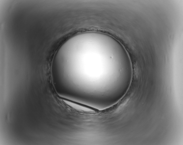 X0000088841494200706211823