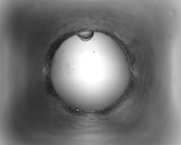 X0000088841495200706211823