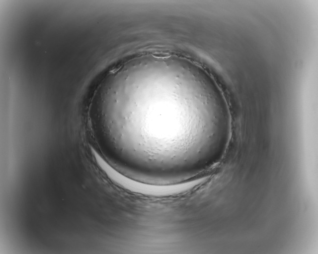 X0000088841496200706211823