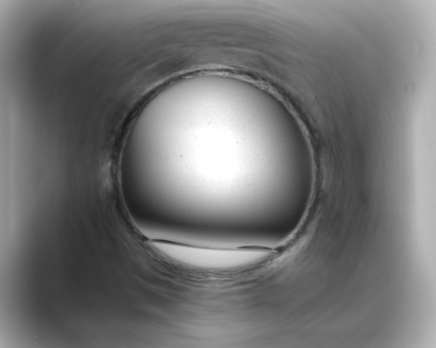 X0000088841497200706211823