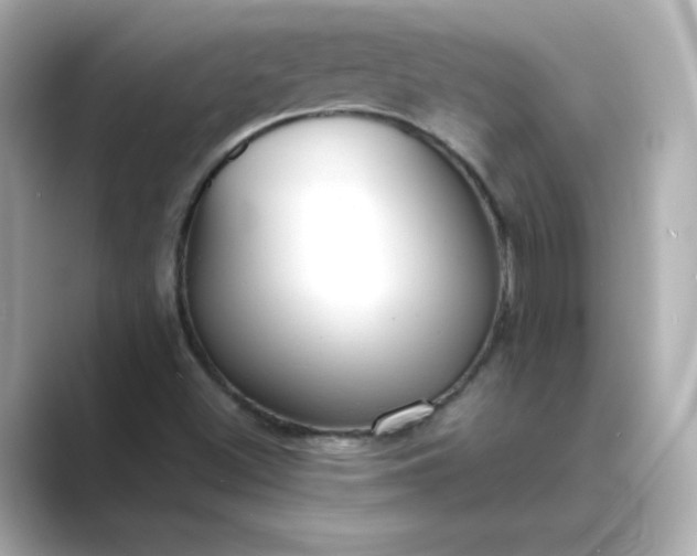 X0000088841500200706211823