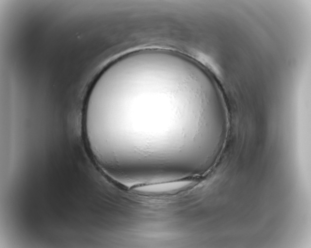 X0000088841504200706211824