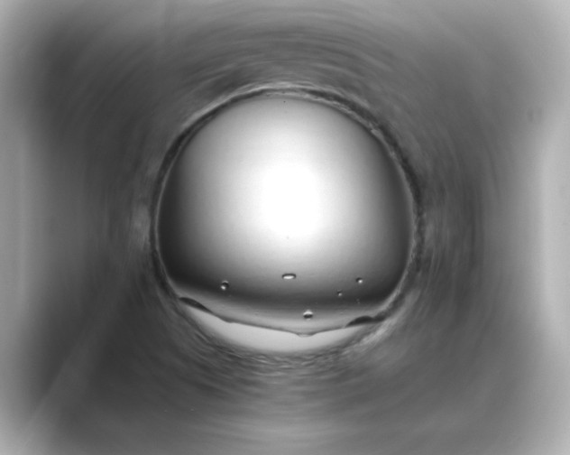 X0000088841505200706211824