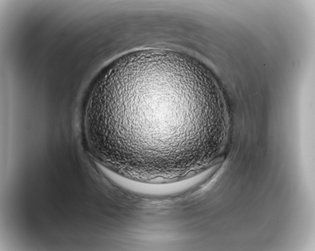 X0000088841506200706211824