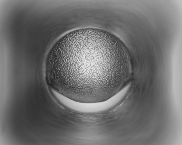 X0000088841508200706211824