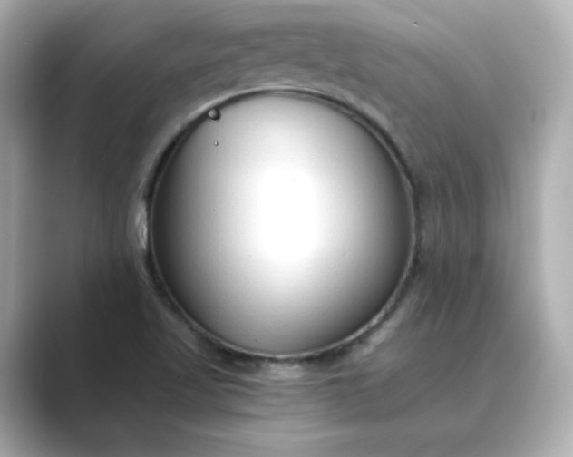 X0000088841509200706211824