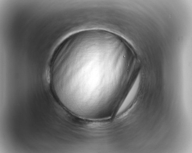 X0000088841510200706211824