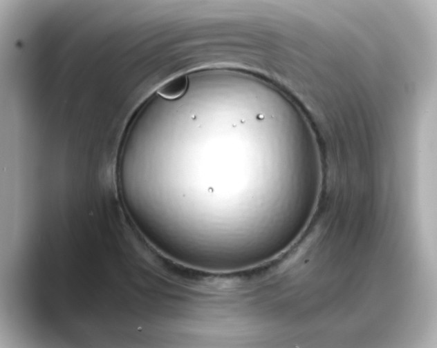 X0000088841513200706211824