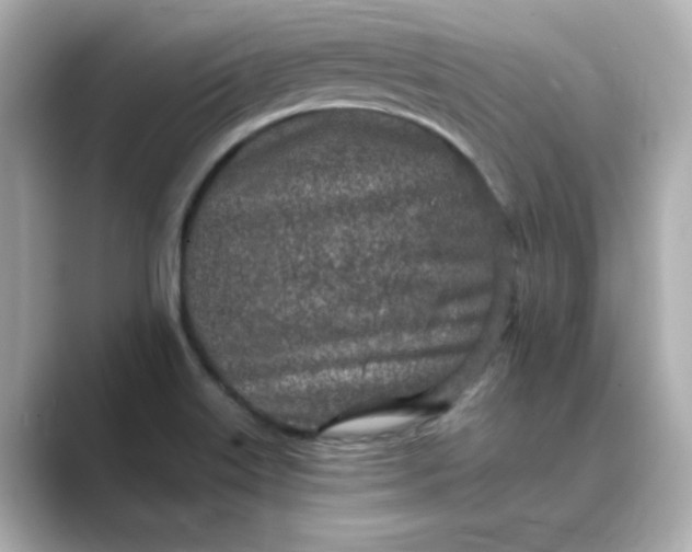 X0000088841515200706211824