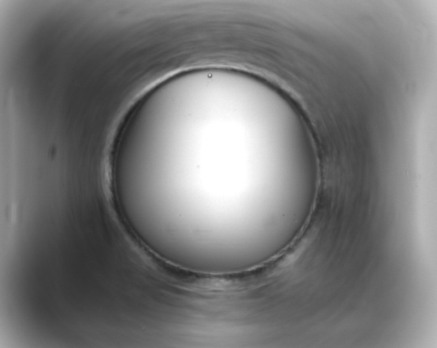 X0000088841517200706211824