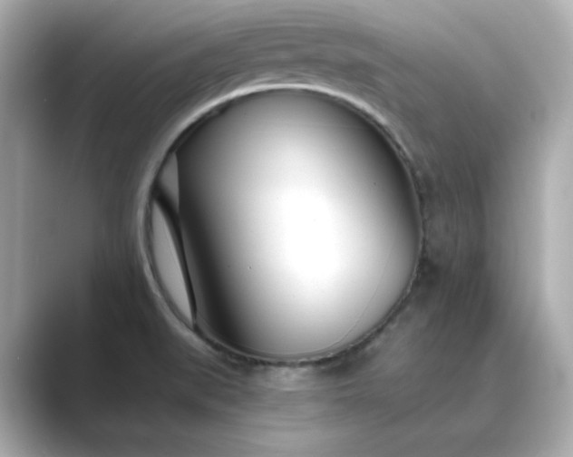 X0000088841519200706211824