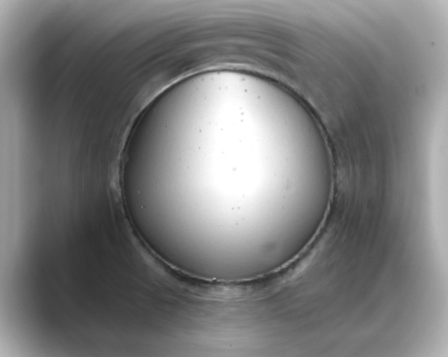 X0000088841521200706211824