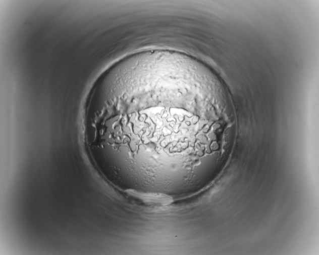 X0000088841522200706211824