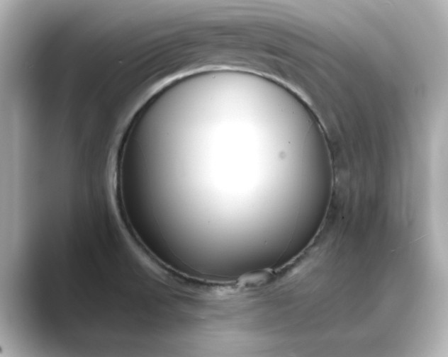 X0000088841523200706211824