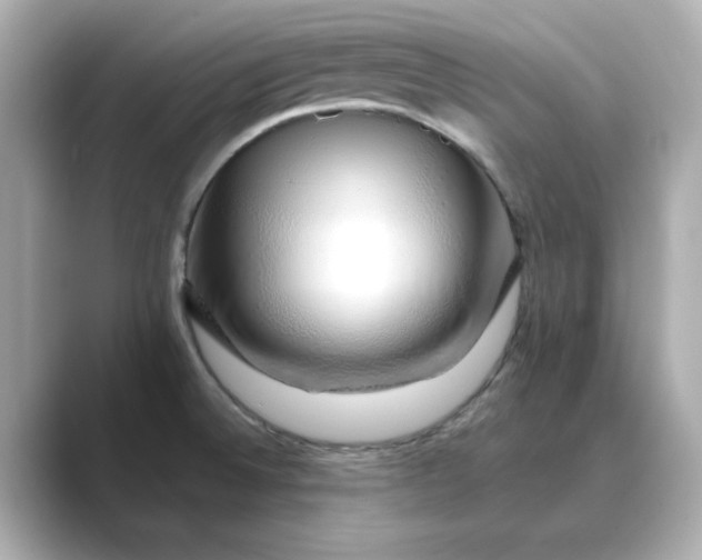 X0000088841524200706211824