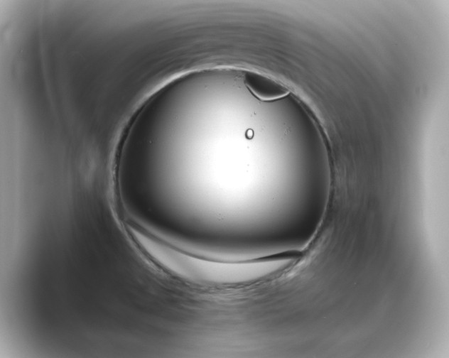 X0000088841525200706211824