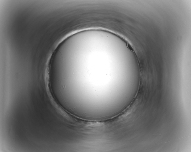 X0000088841526200706211824