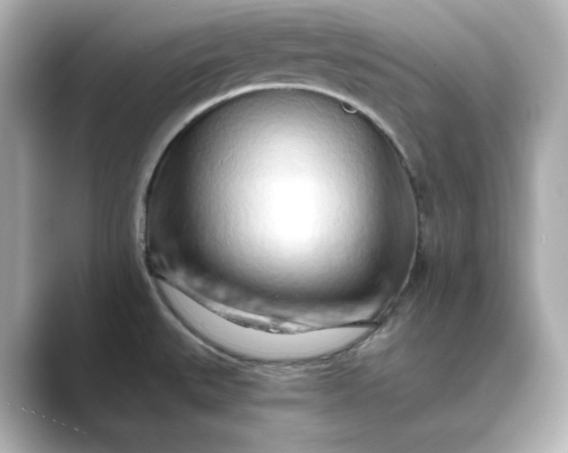 X0000088841527200706211824