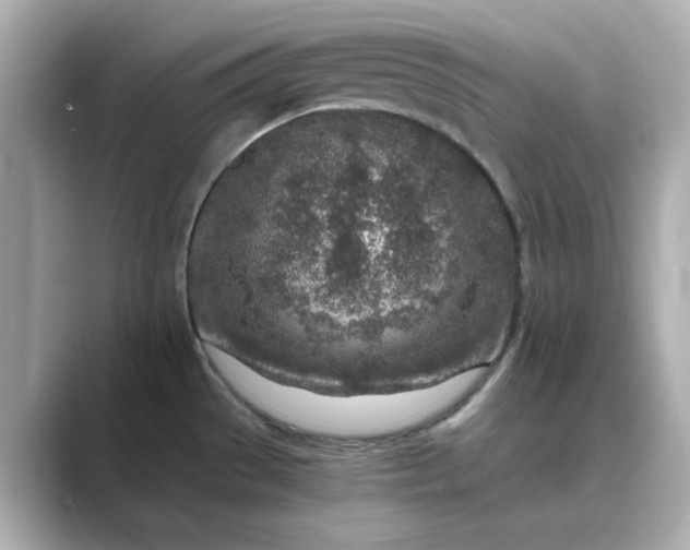 X0000088841529200706211824